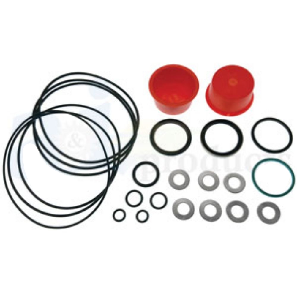 Seal Kit Orbital St Moto for Ford Fiat 9966147 AM9966147 F110 F110DT F115 F130 F140DT L65 130-90 130-90DT 180-90 180-90DT 72-93DT 82-94DT 88-94DT TS100 TS110 TS115 TS80