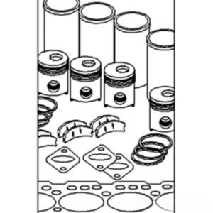 In Frame Overhaul Kit for Ford IK194 BEKF2020D 4000 4600 4610 4630