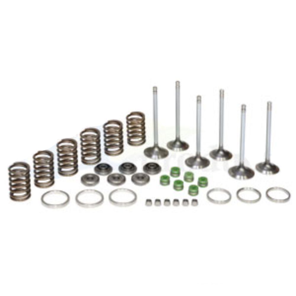Valve Train Kit Std for John Deere VTK3029D VTK3029D 5200 5300 5400 5400N 5500